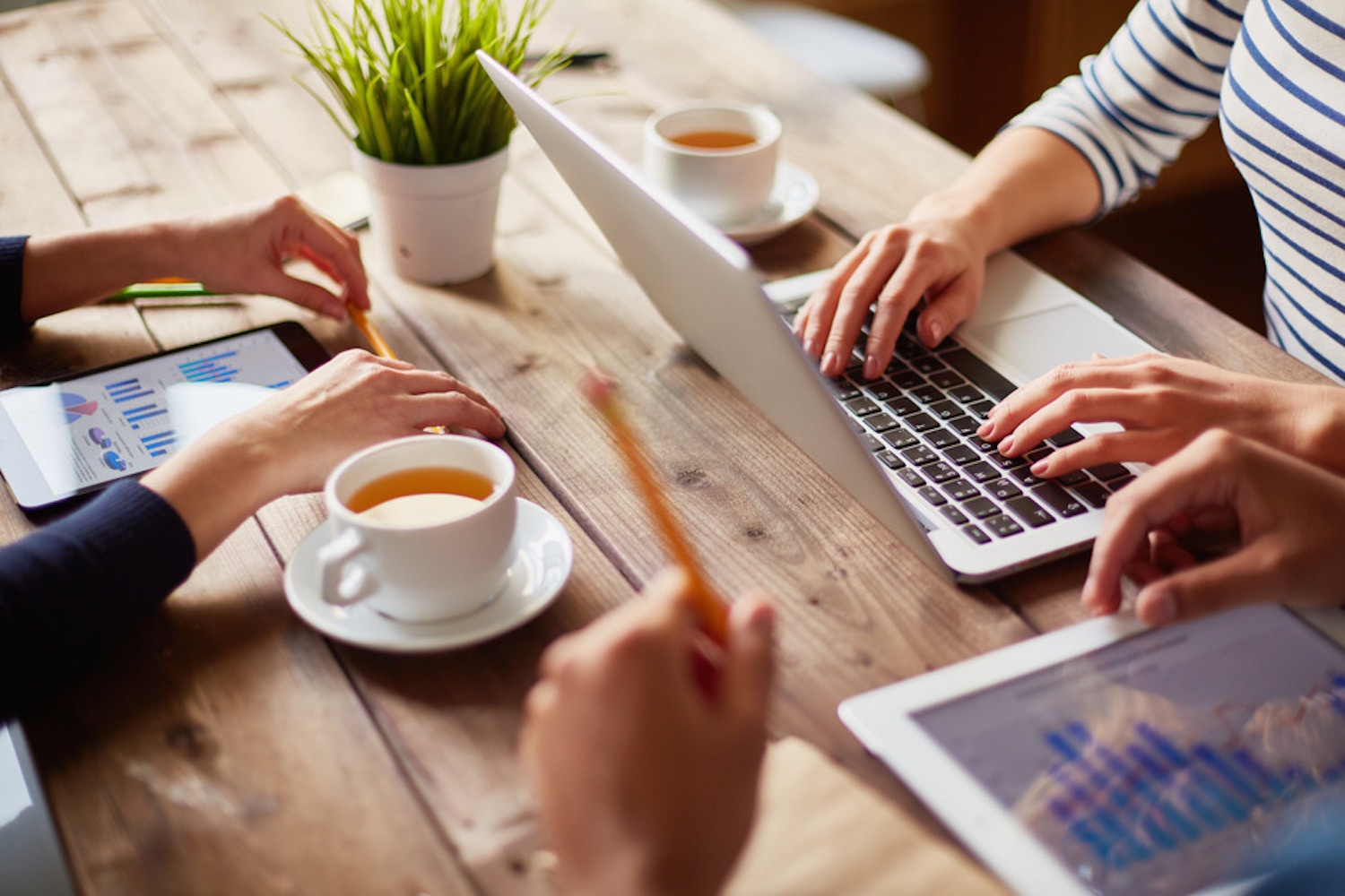 webbusiness