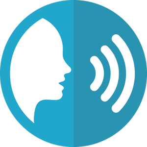 voice 