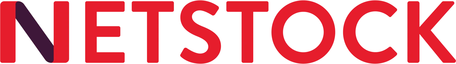 Netstock logo